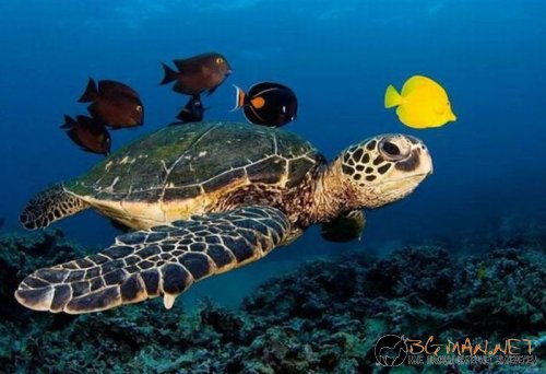 Най-интересните сниМки за днес - 08.06.2010 г.