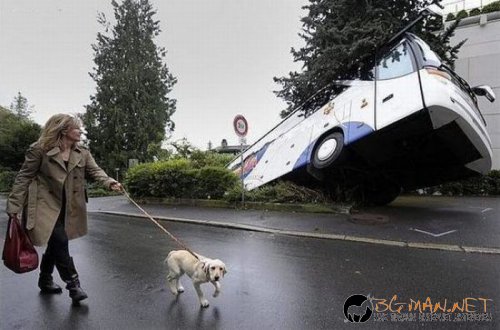 Най-интересните сниМки за днес - 08.06.2010 г.