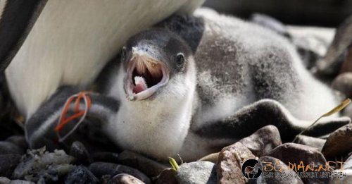 Най-интересните сниМки за днес - 08.06.2010 г.