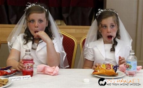 Най-интересните сниМки за днес - 08.06.2010 г.