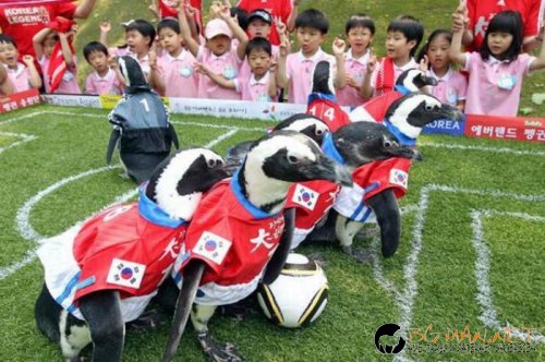 Най-интересните сниМки за днес - 08.06.2010 г.