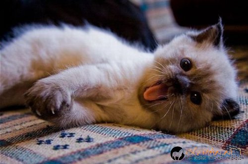 Най-интересните сниМки за днес - 08.06.2010 г.