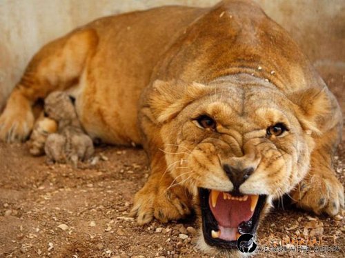 Най-интересните сниМки за днес - 08.06.2010 г.