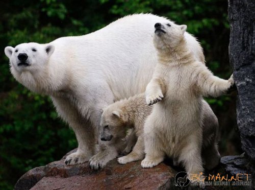 Най-интересните сниМки за днес - 08.06.2010 г.