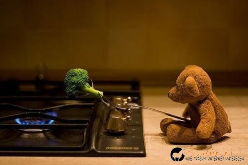 Най-интересните сниМки за днес - 08.06.2010 г.