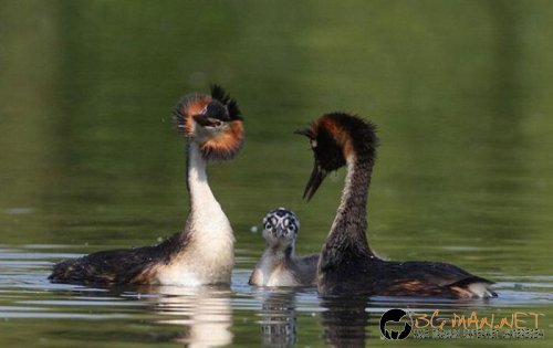 Най-интересните сниМки за днес - 08.06.2010 г.