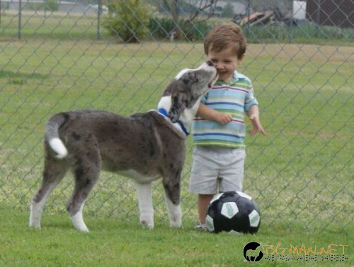 Най-интересните сниМки за днес - 08.06.2010 г.