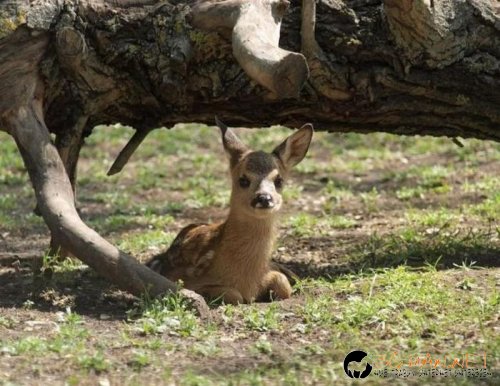 Най-интересните сниМки за днес - 08.06.2010 г.