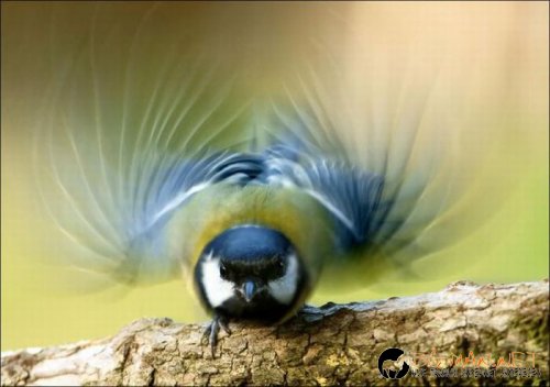 Най-интересните сниМки за днес - 08.06.2010 г.