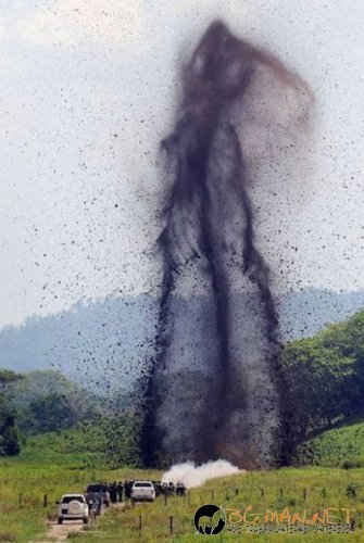 Най-интересните сниМки за днес - 08.06.2010 г.