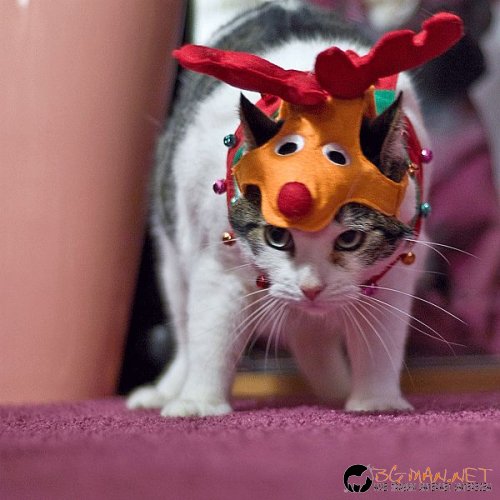 Най-интересните сниМки за днес - 08.06.2010 г.