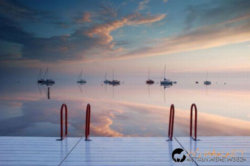 Най-интересните сниМки за днес - 08.06.2010 г.