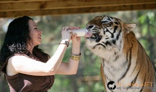 Най-интересните сниМки за днес - 08.06.2010 г.