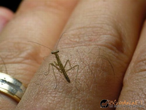 Най-интересните сниМки за днес - 08.06.2010 г.