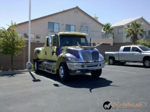 Най-интересните сниМки за днес - 08.06.2010 г.