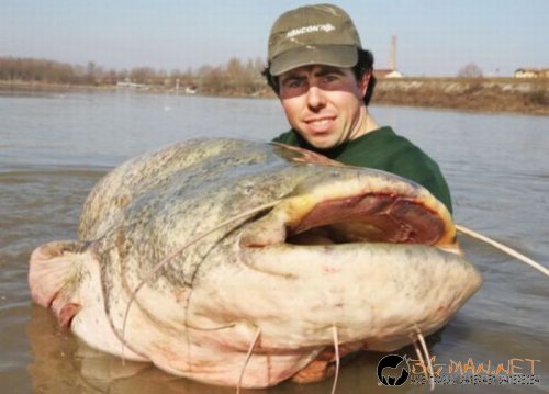 Най-интересните сниМки за днес - 08.06.2010 г.