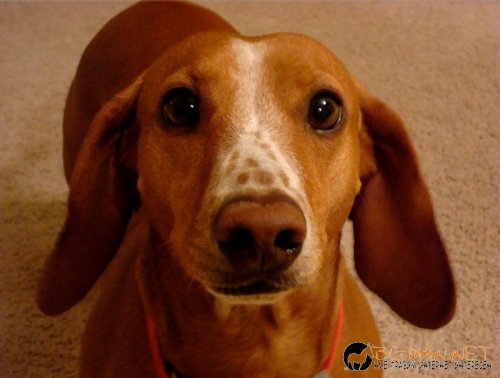 Най-интересните сниМки за днес - 09.06.2010 г.