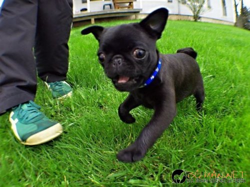 Най-интересните сниМки за днес - 09.06.2010 г.