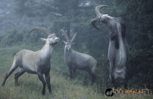 Най-интересните сниМки за днес - 09.06.2010 г.