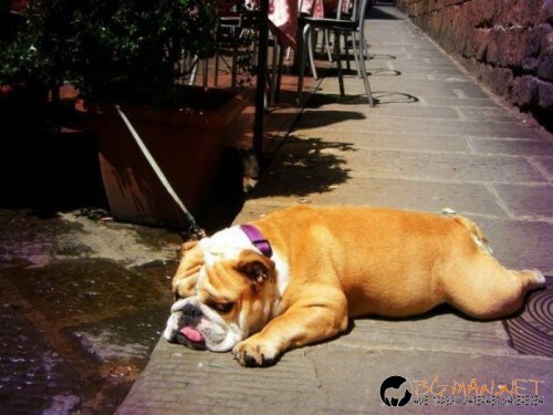 Най-интересните сниМки за днес - 09.06.2010 г.