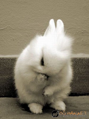 Най-интересните сниМки за днес - 09.06.2010 г.