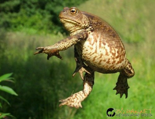 Най-интересните сниМки за днес - 09.06.2010 г.