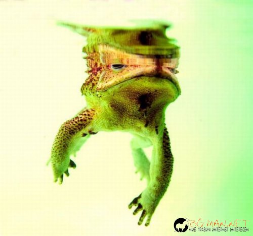 Най-интересните сниМки за днес - 09.06.2010 г.