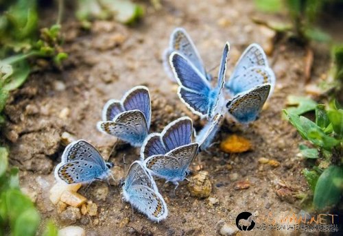 Най-интересните сниМки за днес - 09.06.2010 г.