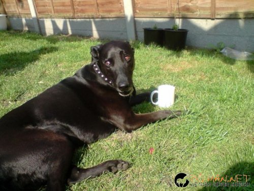 Най-интересните сниМки за днес - 09.06.2010 г.