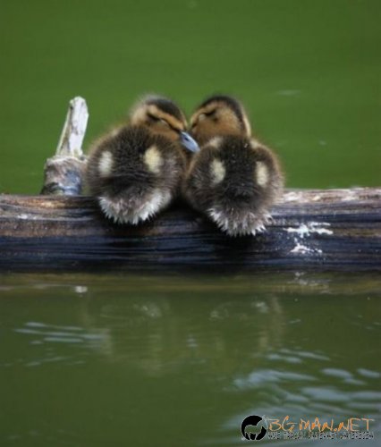 Най-интересните сниМки за днес - 09.06.2010 г.