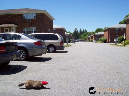 Най-интересните сниМки за днес - 09.06.2010 г.