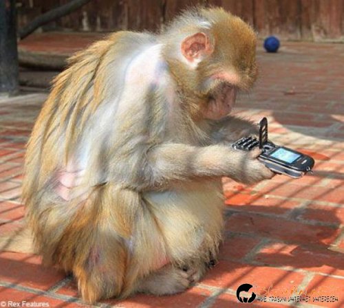 Най-интересните сниМки за днес - 09.06.2010 г.