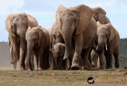 Най-интересните сниМки за днес - 09.06.2010 г.