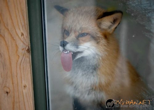 Най-интересните сниМки за днес - 09.06.2010 г.