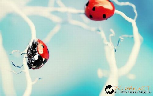 Най-интересните сниМки за днес - 09.06.2010 г.