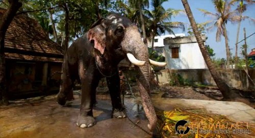 Най-интересните сниМки за днес - 09.06.2010 г.