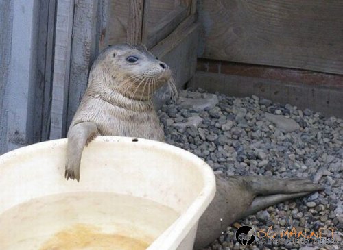 Най-интересните сниМки за днес - 09.06.2010 г.