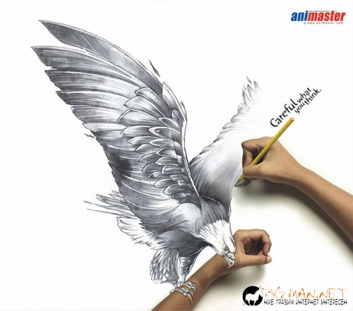 Най-интересните сниМки за днес - 09.06.2010 г.