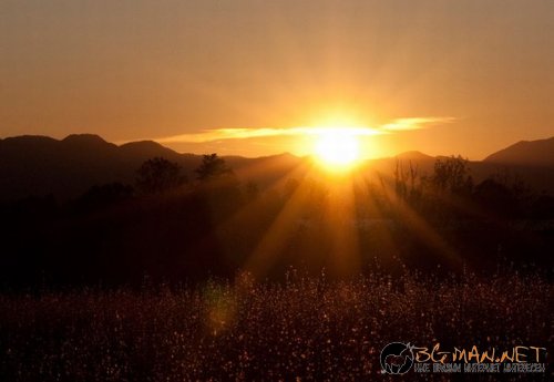 Най-интересните сниМки за днес - 09.06.2010 г.
