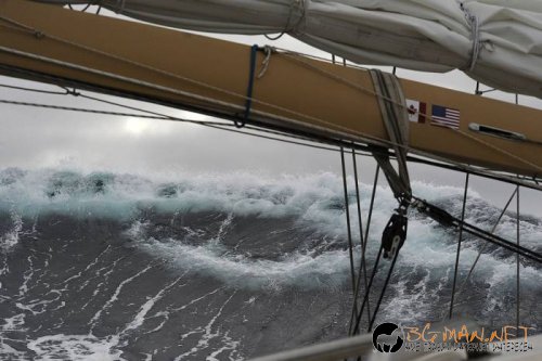 Най-интересните сниМки за днес - 09.06.2010 г.