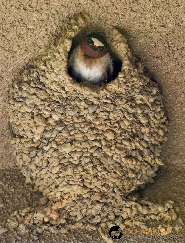 Най-интересните сниМки за днес - 09.06.2010 г.