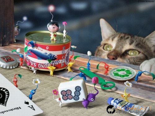 Най-интересните сниМки за днес - 09.06.2010 г.