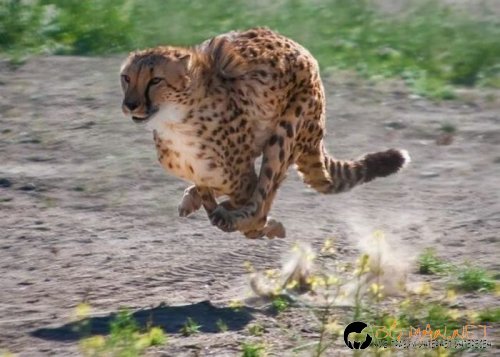 Най-интересните сниМки за днес - 09.06.2010 г.