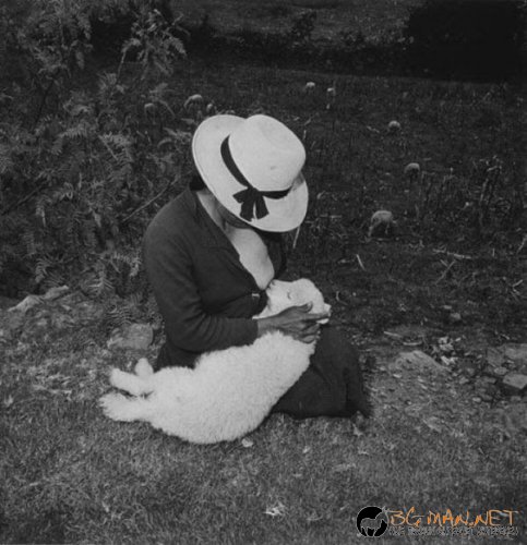 Най-интересните сниМки за днес - 09.06.2010 г.