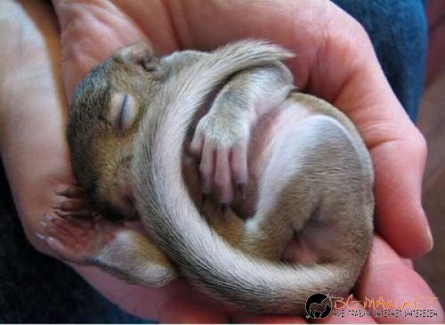 Най-интересните сниМки за днес - 09.06.2010 г.