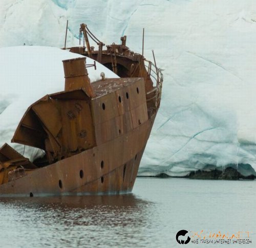 Най-интересните сниМки за днес - 09.06.2010 г.