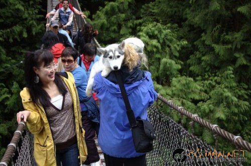 Най-интересните сниМки за днес - 09.06.2010 г.