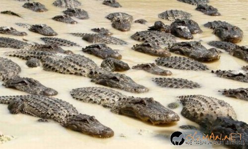 Най-интересните сниМки за днес - 09.06.2010 г.