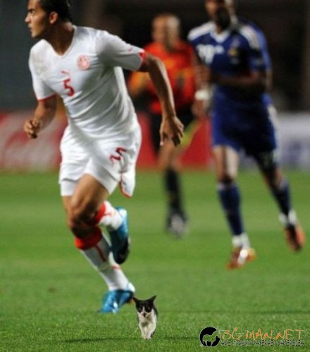 Най-интересните сниМки за днес - 09.06.2010 г.