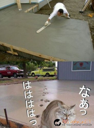 Най-интересните сниМки за днес - 09.06.2010 г.